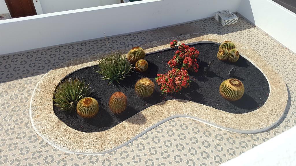 פוארטו דל כרמן Panelo Cactus Apartment מראה חיצוני תמונה